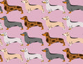 Load image into Gallery viewer, Pink Sophisticated Sausage Sherpa Fleece Dachshund Dog Parker Jacket