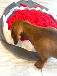 Load image into Gallery viewer, Sausage Dog Box Large Shark Snuffle Mat