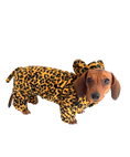 Load image into Gallery viewer, CLEARANCE - Sausage Dog Box Dachshund Cheetah Outfit