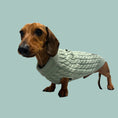 Load image into Gallery viewer, Forest Moss Luxury Cable Knit Dachshund Jumper - Sausage Dog Box