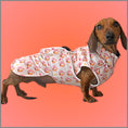 Load image into Gallery viewer, Warm Waterproof Dachshund Coat - Saucy Sausage Raincoat In Hot Dog Design