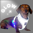 Load image into Gallery viewer, Reflective Flashing Dachshund Harness - Glow Getter