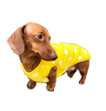 Load image into Gallery viewer, Sausage Dog Box, Dachshund Yellow Bear Fleece PJ's/Jumper