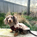 Load image into Gallery viewer, Walnut Whip DoxieDri Dachshund Harness Fleece