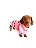Load image into Gallery viewer, Sausage Dog Box Dachshund ‘Be Mine’ Love Heart Pink Jumper