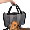 Load image into Gallery viewer, Sausage Dog Box Adventure Dachshund Backpack Carrier Airline Approved Holdall