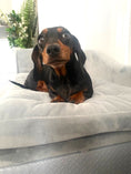 Load image into Gallery viewer, Sausage Dog Box, Dachshund Fern Chaise Longue Sofa Bed With Storage