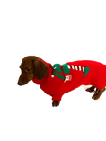 Load image into Gallery viewer, Sausage Dog Box Dachshund Christmas Elf Jumper