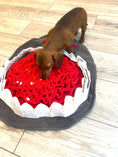 Load image into Gallery viewer, Sausage Dog Box Large Shark Snuffle Mat