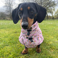 Load image into Gallery viewer, Chasing Rainbows Pink Polartec Fleece Waterproof Dachshund Coat Sausage Dog
