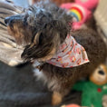 Load image into Gallery viewer, Bandana - Saucy Sausage