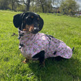 Load image into Gallery viewer, Chasing Rainbows Pink Polartec Fleece Waterproof Dachshund Coat Sausage Dog