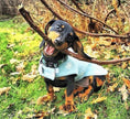 Load image into Gallery viewer, Sausage Dog Box Designer Waterproof Fleece Coat - Snow Flake
