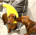 Load image into Gallery viewer, Sausage Dog Box Banana Hat