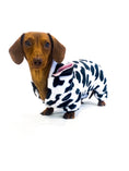 Load image into Gallery viewer, CLEARANCE - Sausage Dog Box, Dachshund Cute Cow Outfit