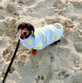 Load image into Gallery viewer, Sausage Dog Box Dachshund Designer Daisy Pullover Jumper