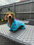 Load image into Gallery viewer, Dachshund Outfit - Little Monster