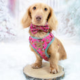 Load image into Gallery viewer, Enchanted Pink Anti-Rub Dachshund Harness