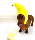 Load image into Gallery viewer, Sausage Dog Box Banana Hat