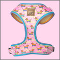 Load image into Gallery viewer, Anti-Rub Harness Designed For Dachshunds - Chasing Rainbows