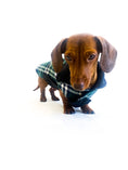 Load image into Gallery viewer, Sausage Dog Box, Dachshund Reversible Plaid Coat Green
