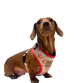 Load image into Gallery viewer, Adjustable Harness - Saucy Sausage