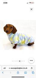Load image into Gallery viewer, Sausage Dog Box Dachshund Designer Daisy Pullover Jumper