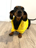 Load image into Gallery viewer, Sausage Dog Box Dachshund Duckie Towel