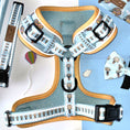 Load image into Gallery viewer, Anti-Rub Sausage Dog Harness - Up Up & Away