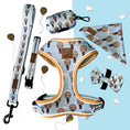Load image into Gallery viewer, Anti-Rub Sausage Dog Harness - Up Up & Away