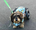Load image into Gallery viewer, Sausage Dog Box Designer Fleece Waterproof 'Lightning Bolt' Coat