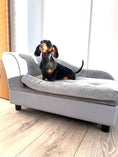 Load image into Gallery viewer, Sausage Dog Box, Dachshund Fern Chaise Longue Sofa Bed With Storage