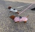 Load image into Gallery viewer, Chasing Rainbows Pink Polartec Fleece Waterproof Dachshund Coat Sausage Dog
