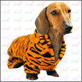 Load image into Gallery viewer, Dachshund Outfit - Tiger Cub