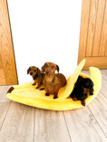 Load image into Gallery viewer, Sausage Dog Box Banana Cave Bed - SMALL