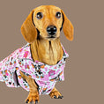 Load image into Gallery viewer, Howdy Cowgirl 'Dach-A-Mac' Dachshund Rain Mac In Bag