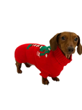 Load image into Gallery viewer, Sausage Dog Box Dachshund Christmas Elf Jumper