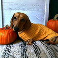 Load image into Gallery viewer, Honey Pie Luxury Cable Knit Dachshund Jumper - Sausage Dog Box