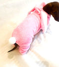 Load image into Gallery viewer, Dachshund Bunny Outfit