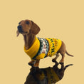 Load image into Gallery viewer, Mustard Dachshund Grandpa Sweater