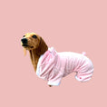 Load image into Gallery viewer, Sausage Dog Costume ‘Piggy’ Oneise Outfit