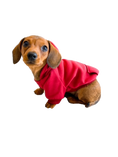 Load image into Gallery viewer, Sausage Dog Box Burgundy Dachshund Hoodie