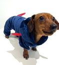 Load image into Gallery viewer, Sausage Dog Box Dachshund Shark Outfit