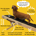 Load image into Gallery viewer, Sausage Dog Box Dachshund Ramp - High Sofa or Bed Wooden Daxie Ramp
