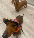 Load image into Gallery viewer, Sausage Dog Box Summer Sun Hat