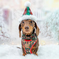 Load image into Gallery viewer, Sausage Pole Anti-Rub Dachshund Christmas Harness