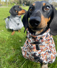Load image into Gallery viewer, Weiner On Wheels Polartec Waterproof Dachshund Coat - Sausage Dog Box