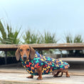 Load image into Gallery viewer, Navy Thermal Dachshund Puffer Coat With Inbuilt Harness Balloon Sausage Dog