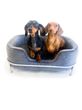 Load image into Gallery viewer, Sausage Dog Box, Dachshund Amity Grey/Silver Luxury Velvet Dog Bed Sofa