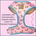 Load image into Gallery viewer, Anti-Rub Harness Designed For Dachshunds - Chasing Rainbows